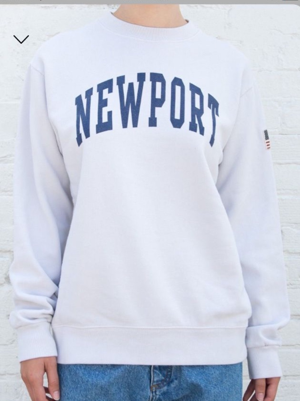 Brandy Melville Newport Crewneck Sweater - with American flag patch